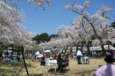🌊 고이시 해안(고이시하마) 이미지 9